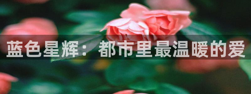 爱在午夜降临前电影在线观看：蓝色星辉：都市里最温暖的爱
