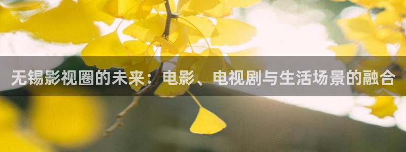 秋霞在线午夜电影：无锡影视圈的未来：电影、电视剧与生活场景的融合