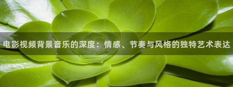 九色午夜在线：电影视频背景音乐的深度：情感、节奏与风格的独特艺术表达