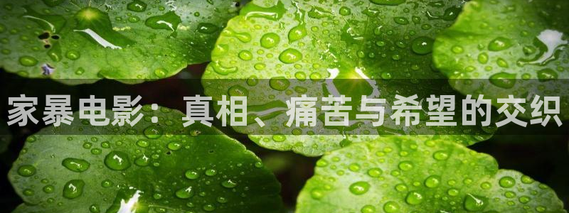 午夜伦理影院：家暴电影：真相、痛苦与希望的交织