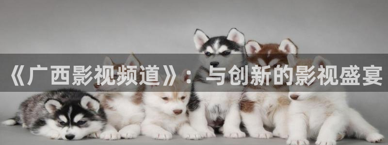 午夜成年在线电影：《广西影视频道》：与创新的影视盛宴