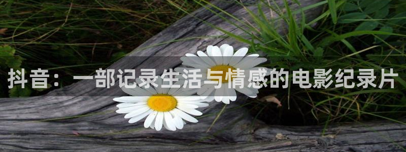 午夜影院剧场：抖音：一部记录生活与情感的电影纪录片