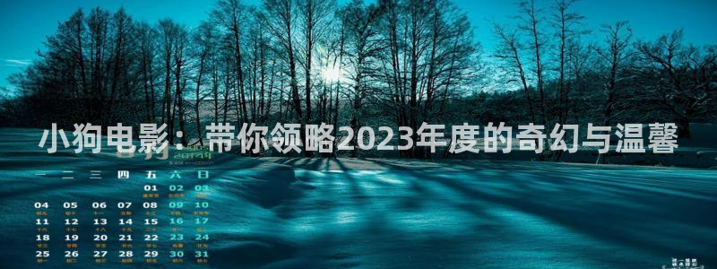 午夜影院在线观看视频：小狗电影：带你领略2023年度的奇幻与温馨