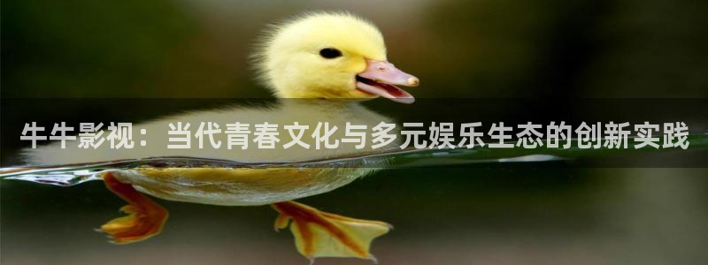 达达兔免午夜起神影院：牛牛影视：当代青春文化与多元娱乐生态的创新实践