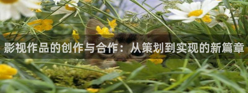 新午夜神马电影