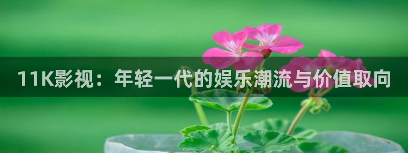 欧美午夜看片