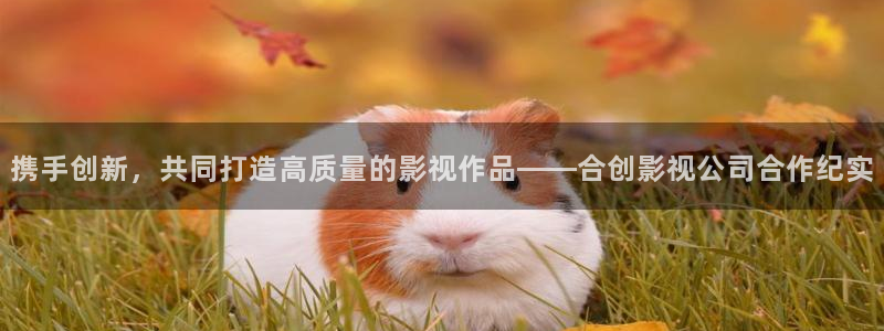 国产午夜理论在线：携手创新，共同打造高质量的影视作品——合创影视公司合作纪实