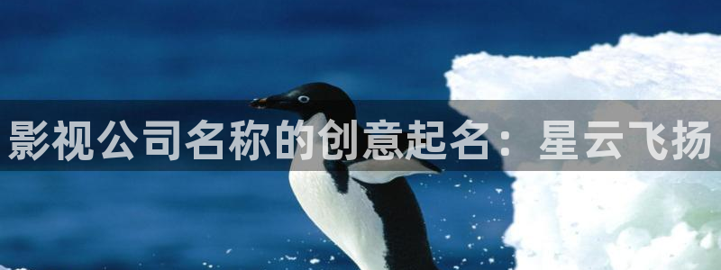 深夜约吧午夜寂寞影院：影视公司名称的创意起名：星云飞扬