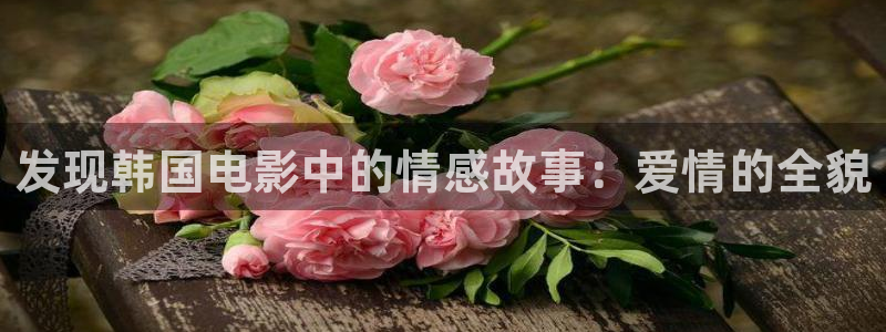 午夜爽电影