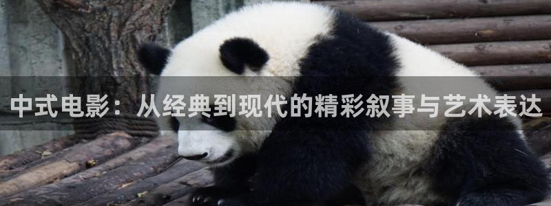 午夜免费电影网：中式电影：从经典到现代的精彩叙事与艺术表达