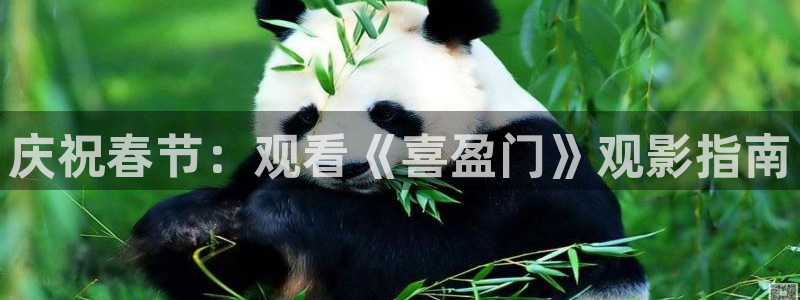 午夜电影午夜剧场：庆祝春节：观看《喜盈门》观影指南