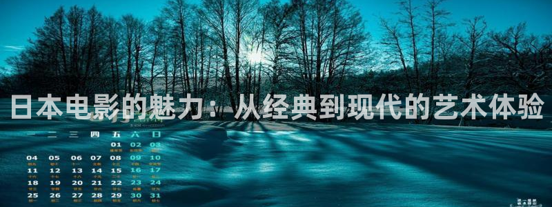 日韩午夜在线视频：日本电影的魅力：从经典到现代的艺术体验