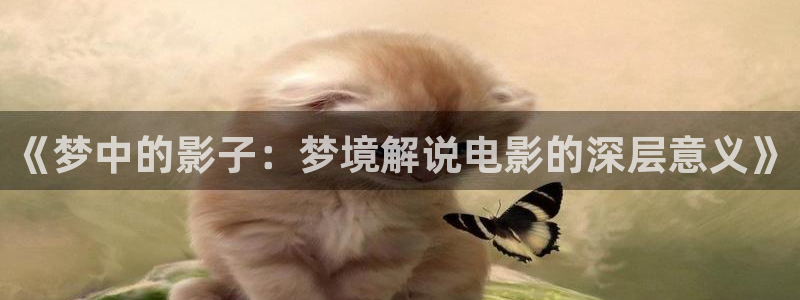 午夜大片片：《梦中的影子：梦境解说电影的深层意义》