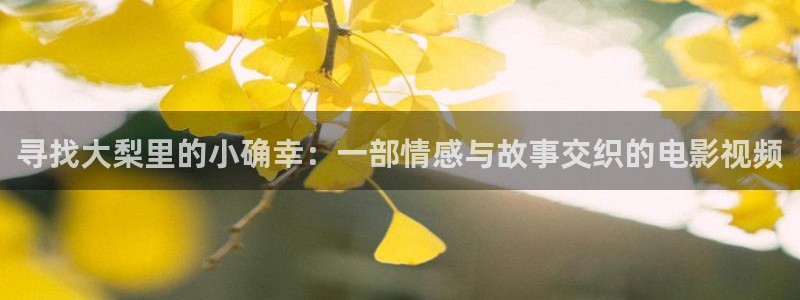 飘花午夜剧场：寻找大梨里的小确幸：一部情感与故事交织的电影视频