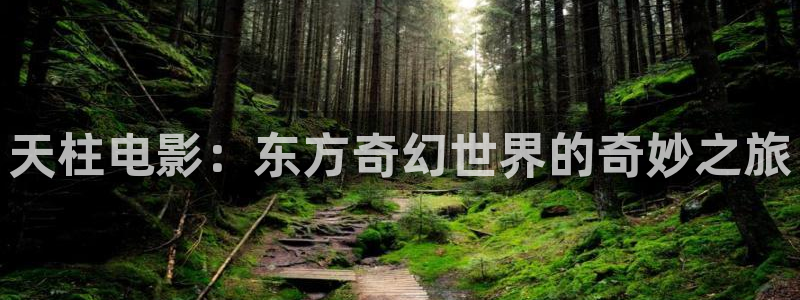 午夜dj视频影视：天柱电影：东方奇幻世界的奇妙之旅