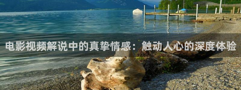 久午夜免费视频