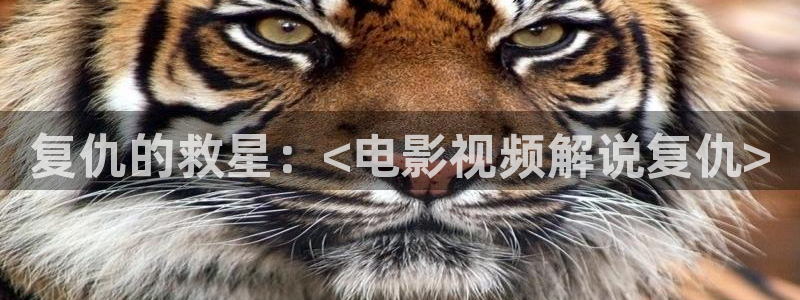 神马电影网午夜电影