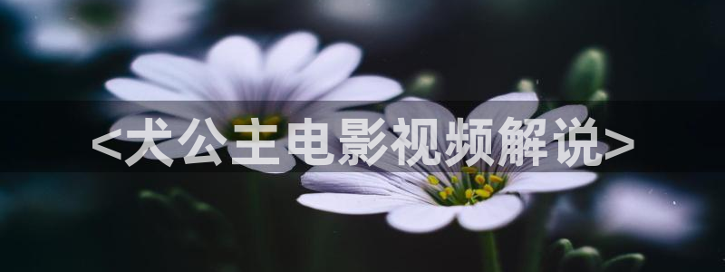 午夜樱桃视频