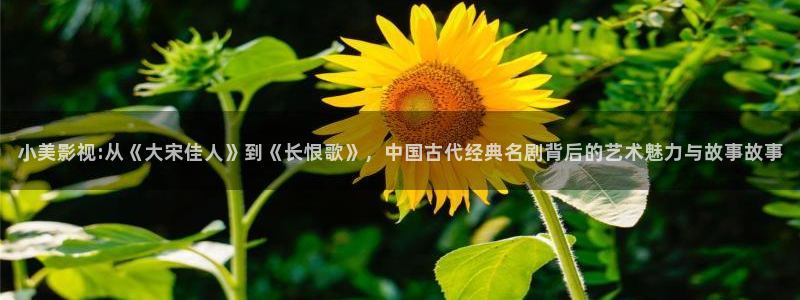 韩日午夜在线资源一区二区