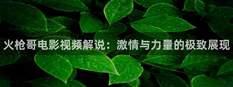 红杏午夜在线看