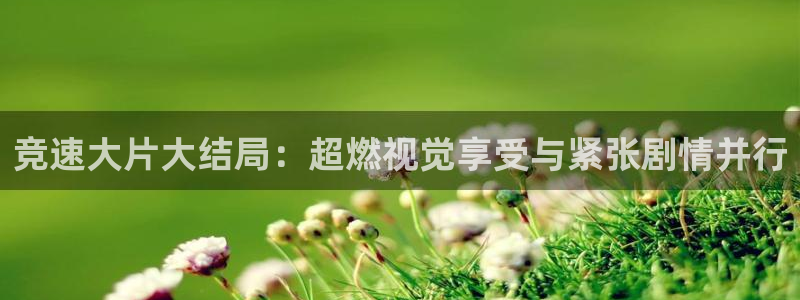多瑙影院ifun午夜版：竞速大片大结局：超燃视觉享受与紧张剧情并行