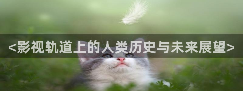 午夜免费看性一交一乱能片：<影视轨道上的人类历史与未来展望>