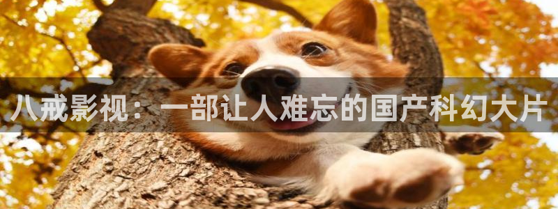 午夜惊心 电影：八戒影视：一部让人难忘的国产科幻大片