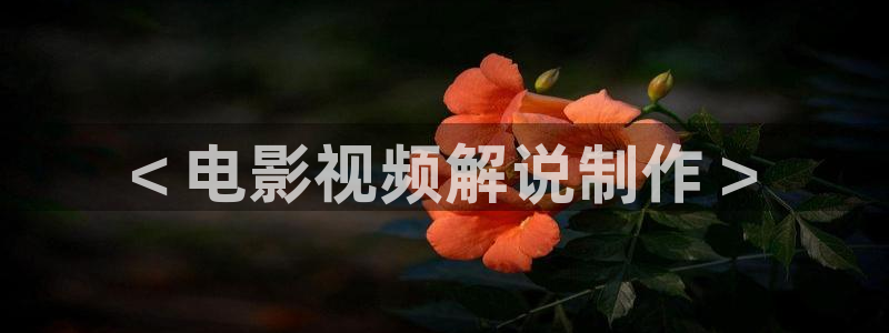 欧美成人午夜电影院：＜电影视频解说制作＞