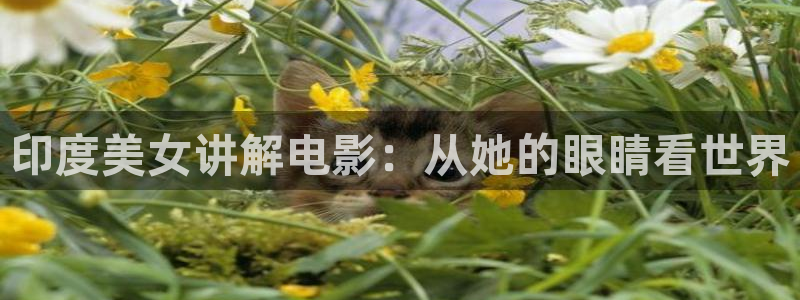 182午夜影院：印度美女讲解电影：从她的眼睛看世界