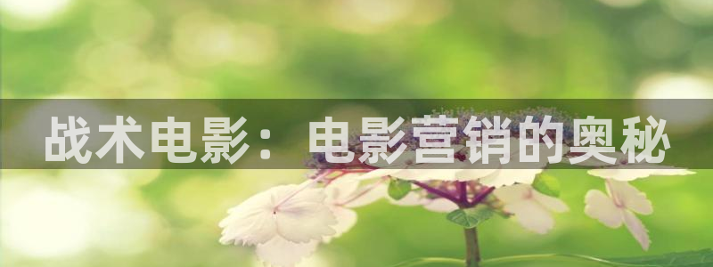 午夜伦理泡泡影视：战术电影：电影营销的奥秘