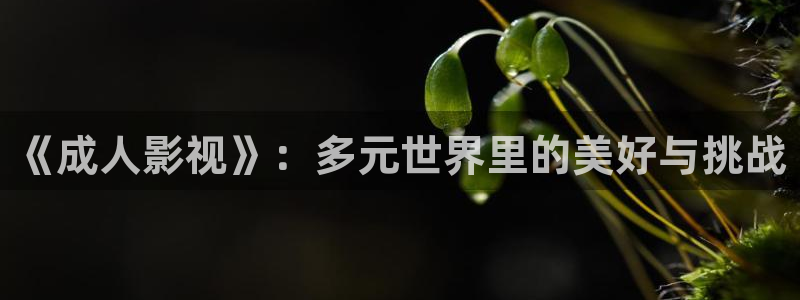 欧美午夜影院免费观看：《成人影视》：多元世界里的美好与挑战