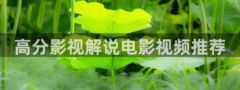 老子影院午夜精品欧美视频
