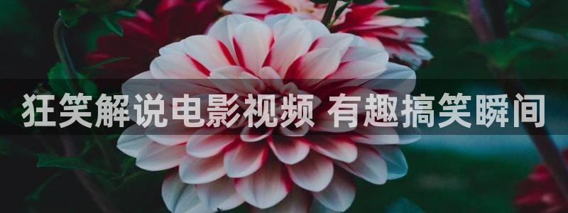 午夜精品一区二区三区在线视电影：狂笑解说电影视频 有趣搞笑瞬间