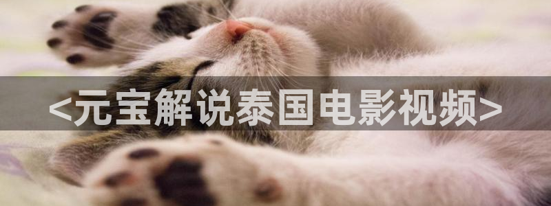 6068午夜影院：<元宝解说泰国电影视频>