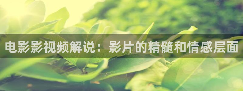 免费午夜电影在线直播看：电影影视频解说：影片的精髓和情感层面