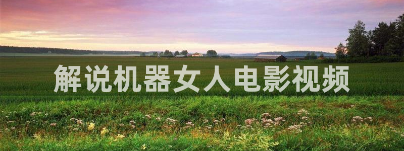 日韩午夜免费观看：解说机器女人电影视频