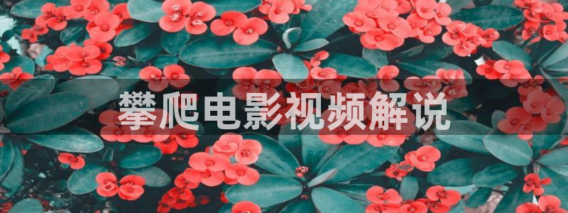 97伦伦午夜电影理伦片