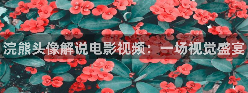 最新午夜电影网站：浣熊头像解说电影视频：一场视觉盛宴