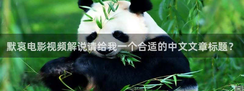 日韩午夜私人在线影院
