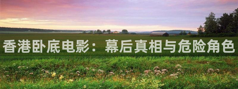 2023午夜精品电影：香港卧底电影：幕后真相与危险角色