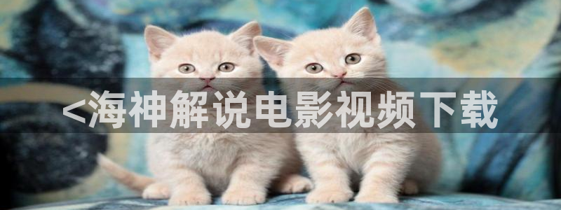 午夜生活片一级