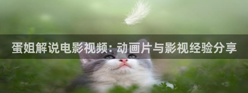 999午夜电影