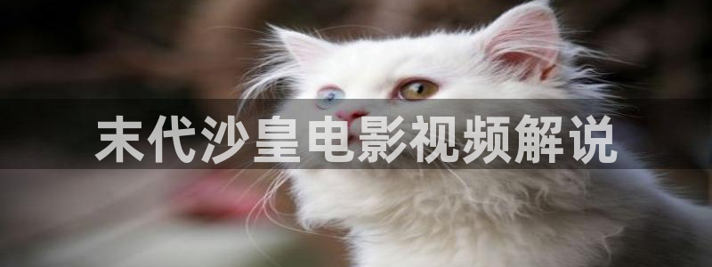 神马影院午夜影院