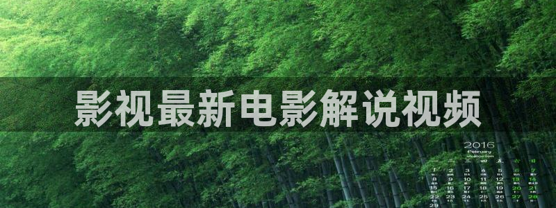 日韩美女午夜电影