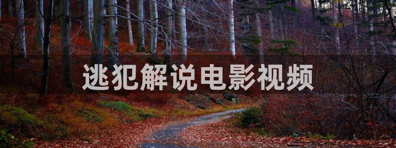 337p午夜影院