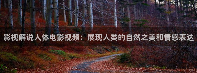 欧美午夜激情性影院