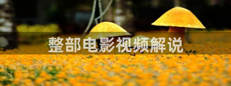 97影院午夜理论片在线：整部电影视频解说