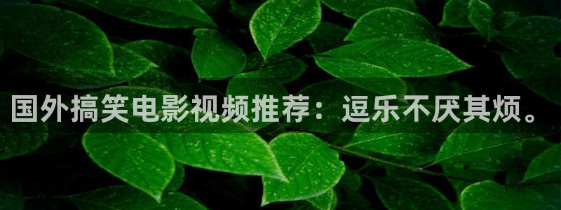 成人免费午夜影视
