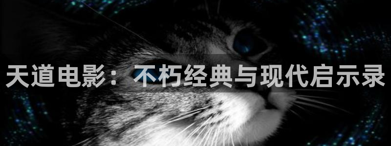 视频一区韩国午夜电影