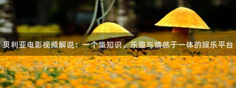 午夜老司机福利电影